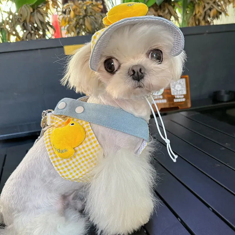 Pet harness and leash set with cute hat accessory and wire rope pulling toy for cats and dogs
