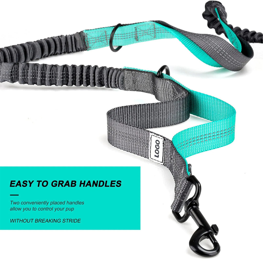 Black nylon dog walking waist bag set with leash and collar for hands-free outdoor training