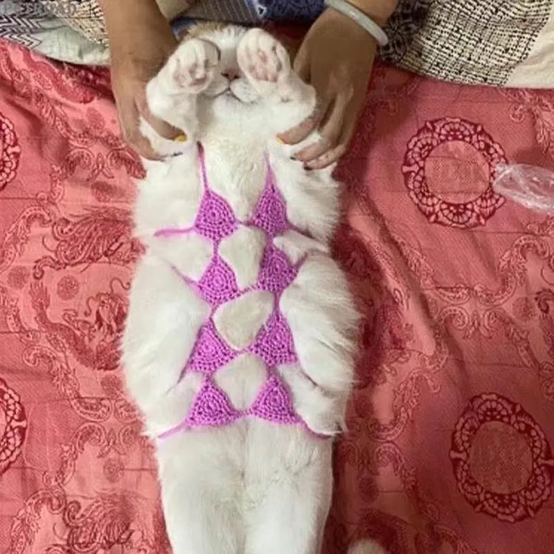 Colourful bikini costume for a cat or small dog on a white background.
