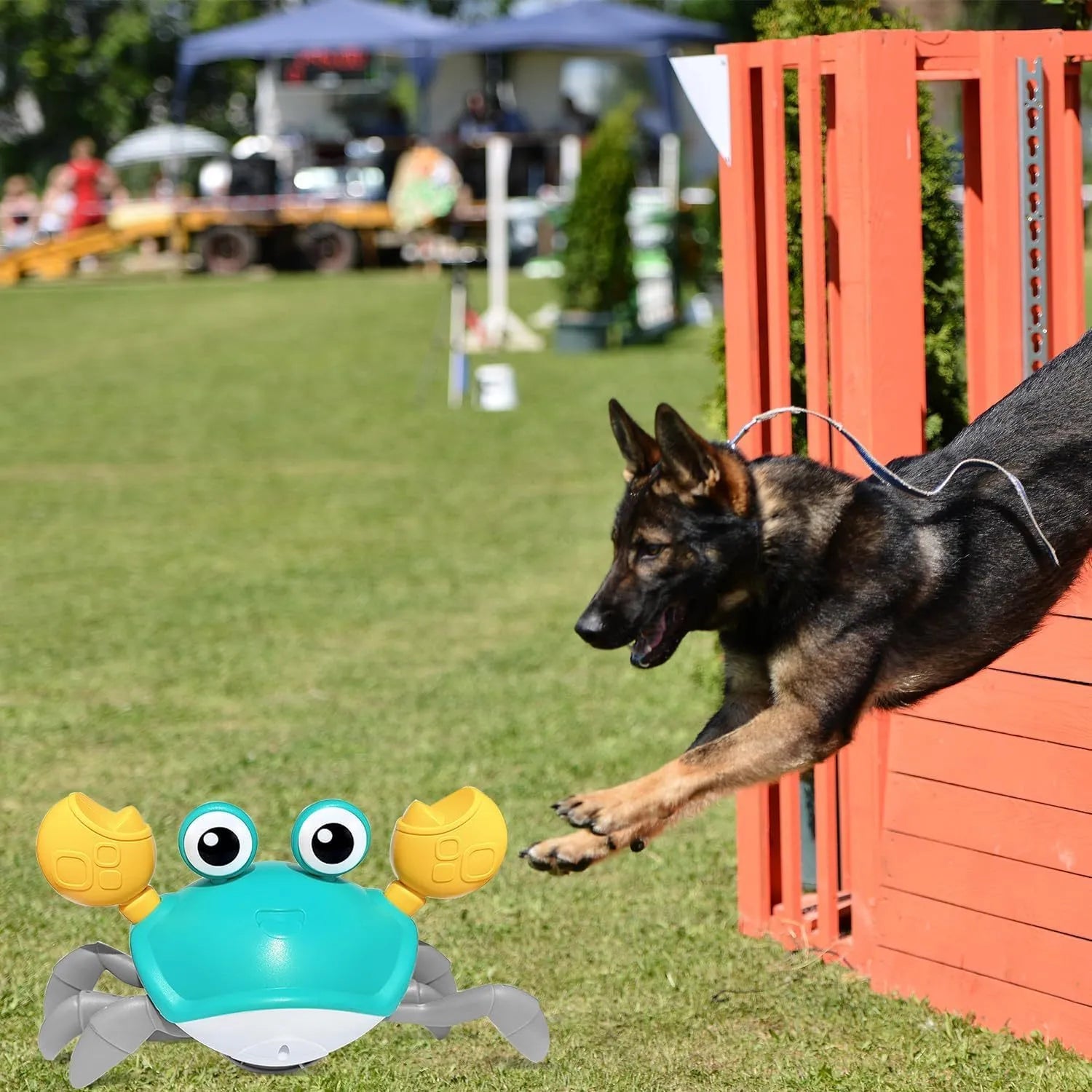 Blue or red crawling crab dog toy with obstacle avoidance sensors on a surface