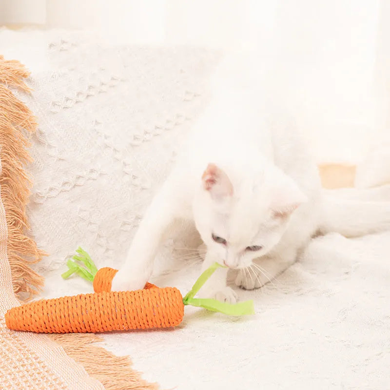 Carrot-shaped paper toys, plastic ringing stones, and textured cat sticks for interactive pet play