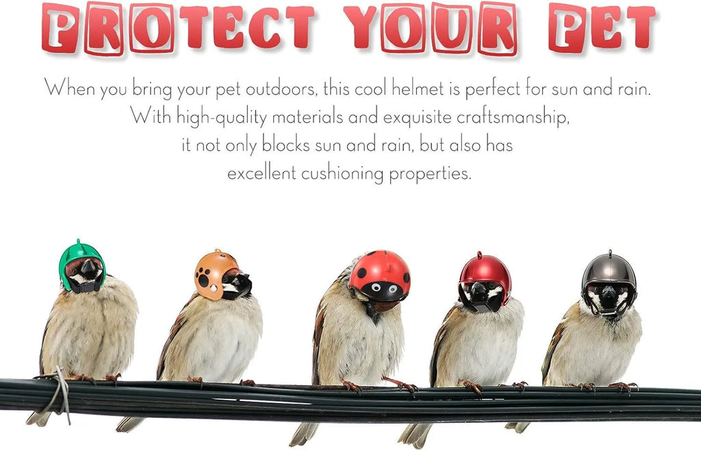 Small hard plastic helmet for chicken or bird with elastic straps and sponge lining.