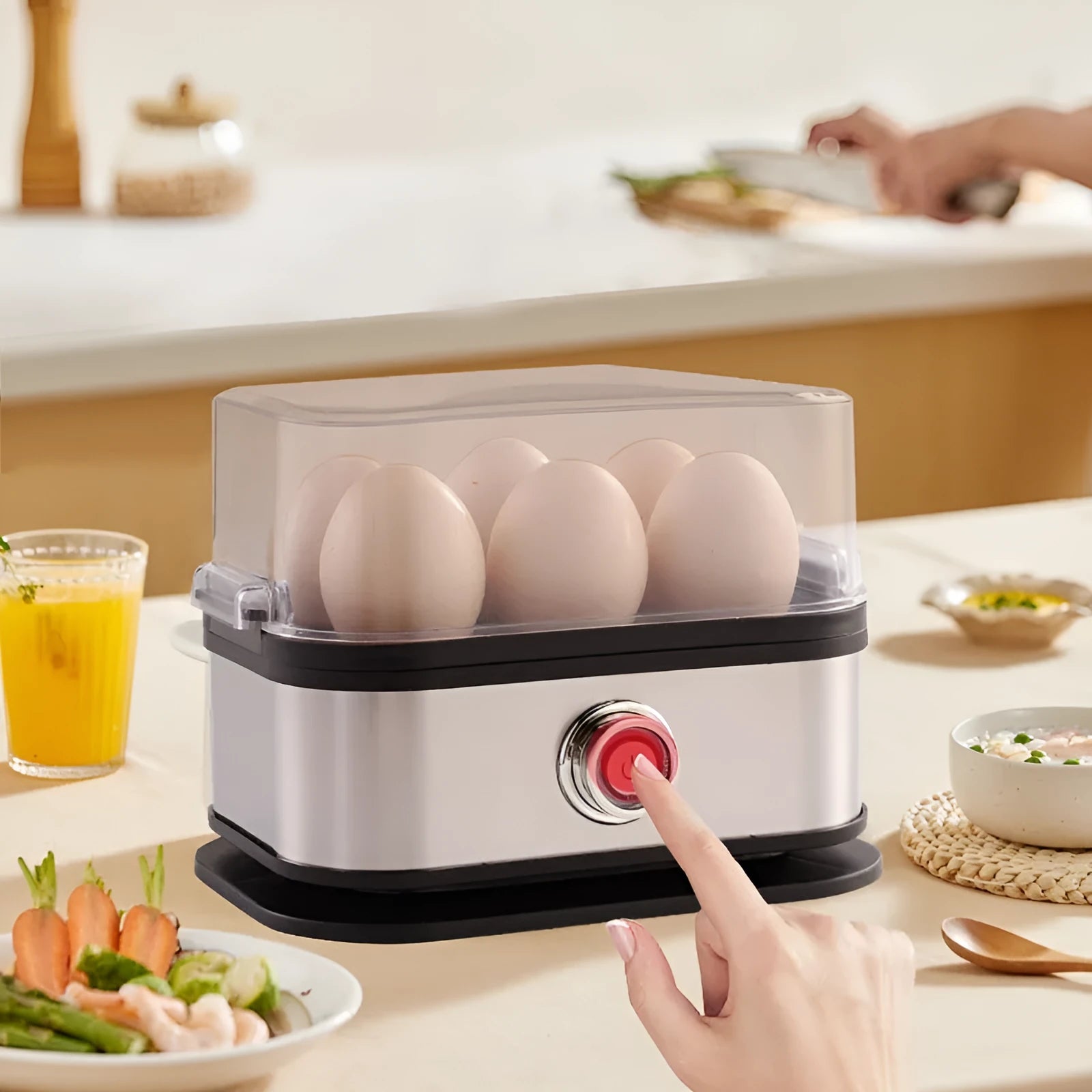 Black portable stainless steel egg boiler with international power plug adapters