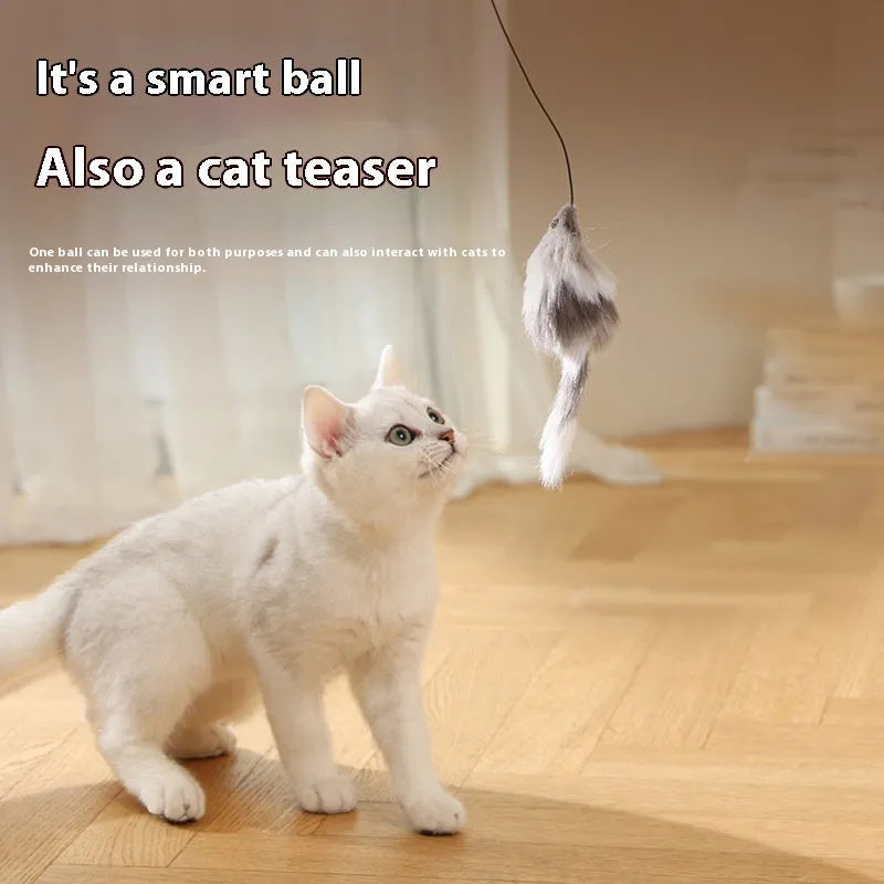 Automatic cat teasing ball with plush mouse attachment in blue orange and dark grey colours