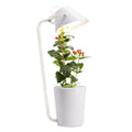 White plastic desktop hydroponic growing container for soilless indoor plant cultivation