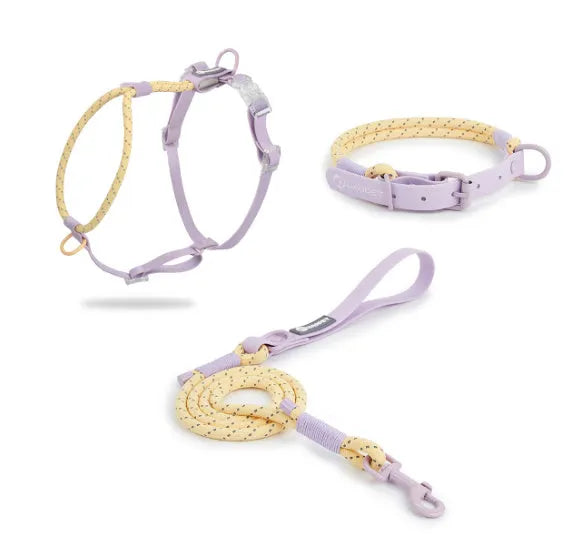 Solid colour PVC dog leash with hand-holding rope function showing 120cm length