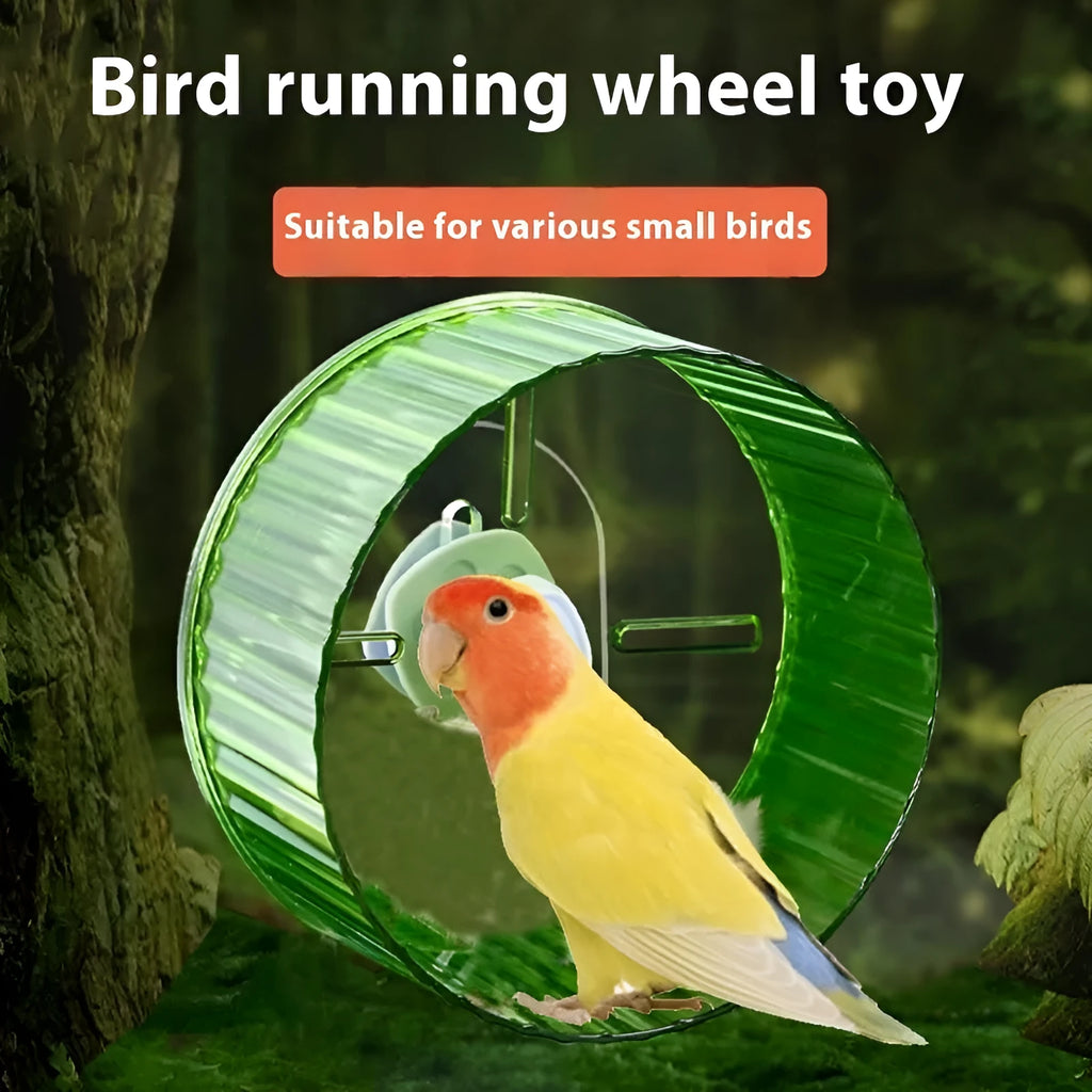 Parrot running wheel toy in transparent plastic showing rotating treadmill design for bird exercise