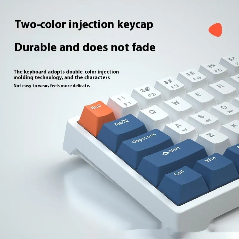 Blue and white 61-key compact mechanical keyboard with hot-swappable switches on black background