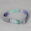 Nylon dog leash set showing pink and yellow gradient colour with multiple attachment options