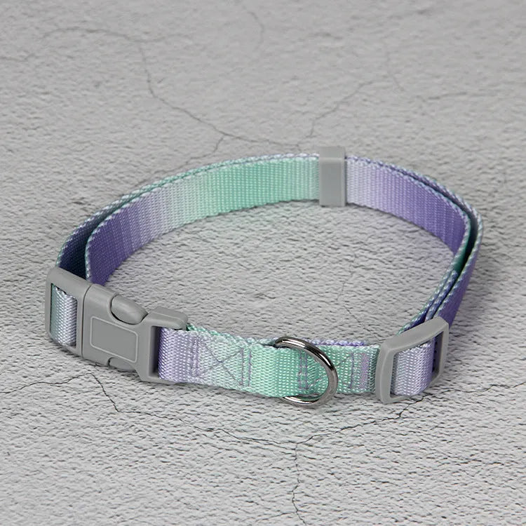 Nylon dog leash set showing pink and yellow gradient colour with multiple attachment options