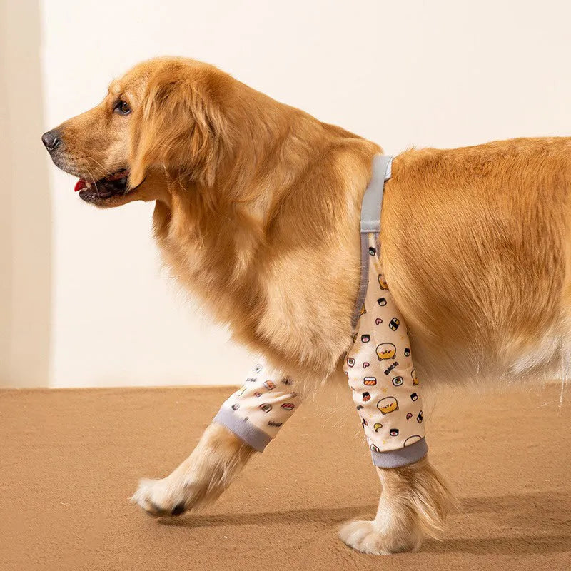 Blue dog knee protector with adjustable straps and matching scarf on a medium-sized dog’s front leg.