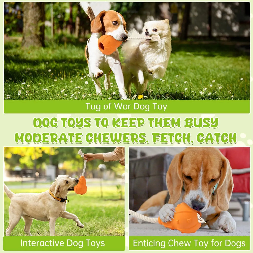Natural rubber dog toy with longer strap, hollow treat-dispensing centre, for small medium breed dogs.