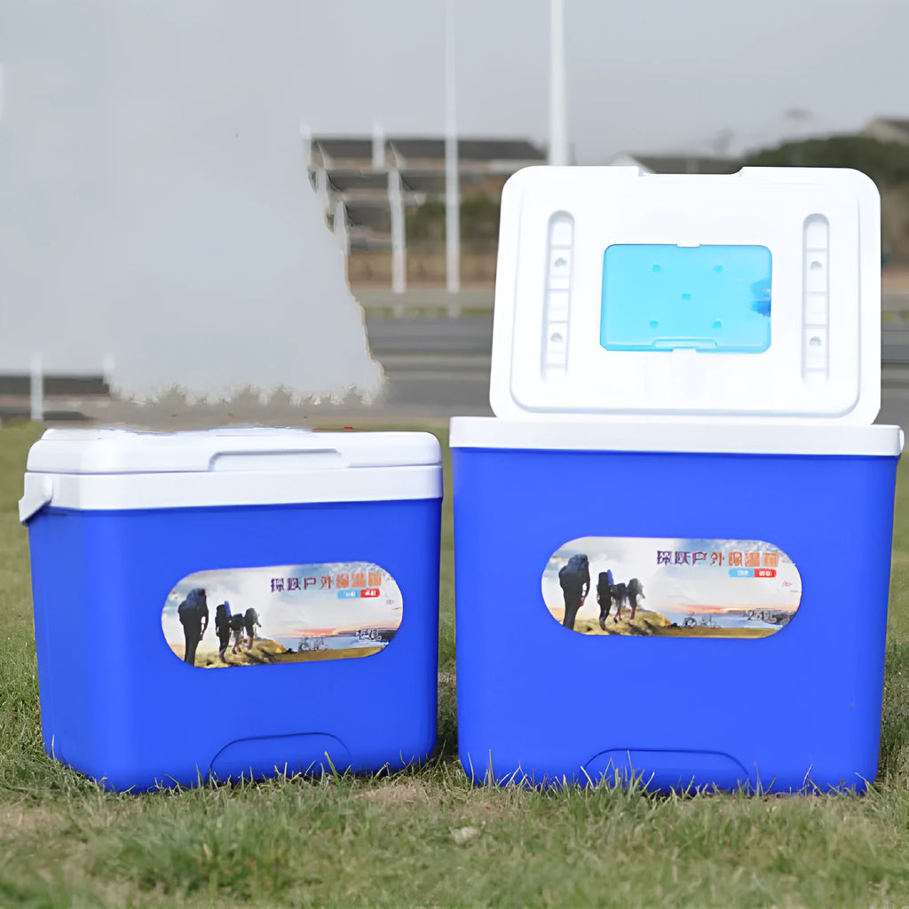 Blue aluminium foil portable insulated cooler box with multiple capacity size options