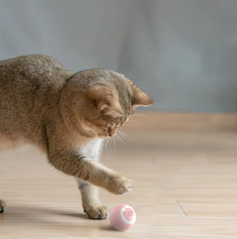 Blue automatic moving cat toy ball with USB charging cable on wooden floor