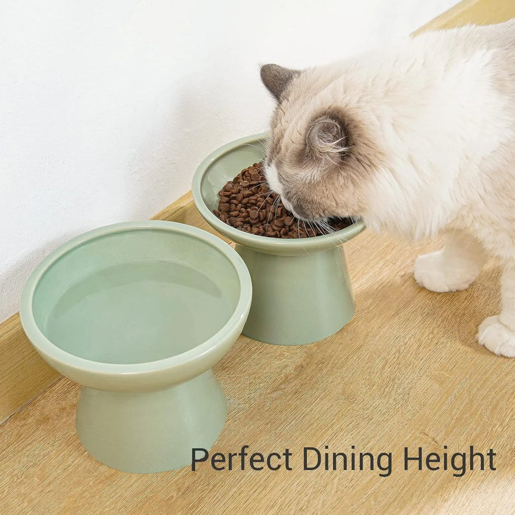Extra wide elevated ceramic cat bowl set in blue colour showing food and water bowls