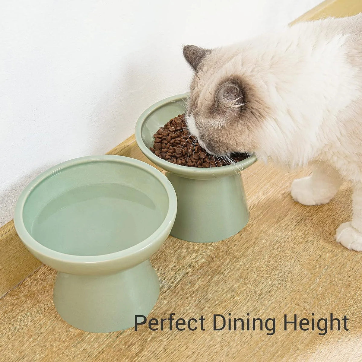 Extra wide elevated ceramic cat bowl set in blue colour showing food and water bowls