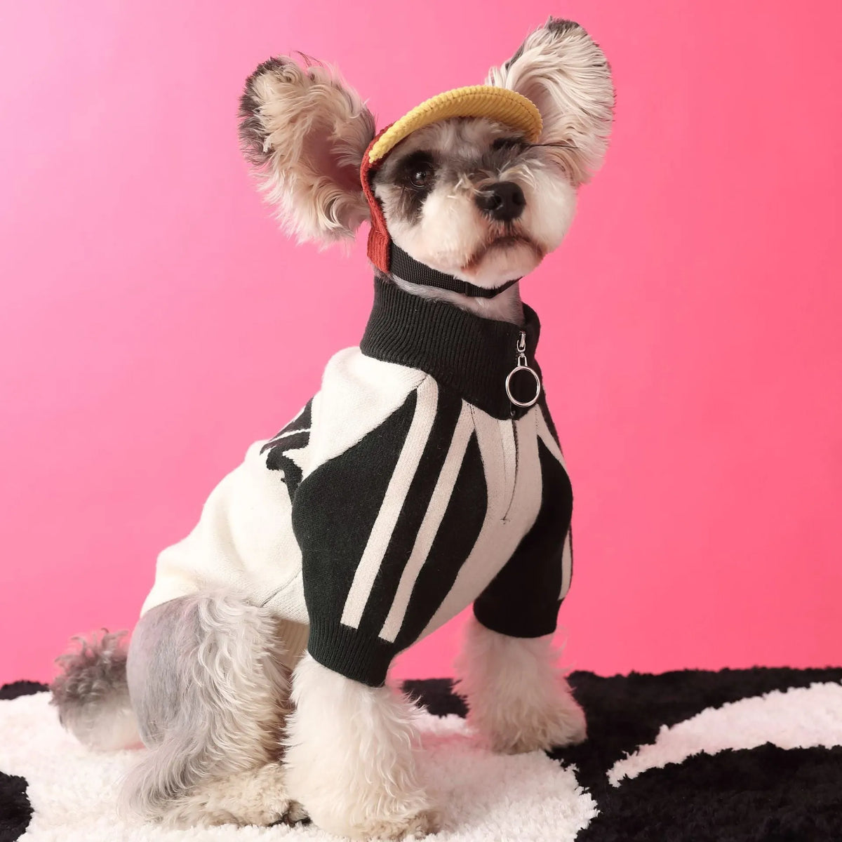 Red wool dog sports sweater cardigan for puppies in casual style