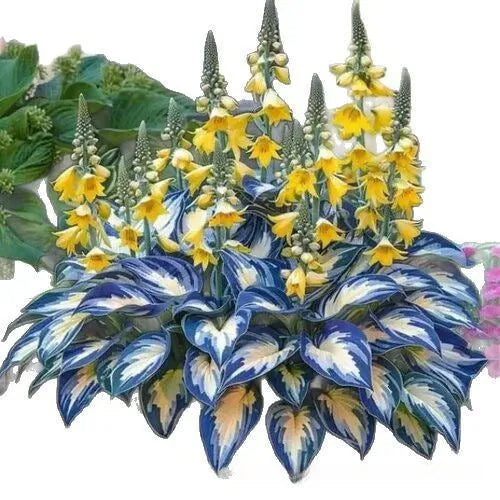 OPP package containing 50 coloured leaves jade barrettes seed pellets for potted gardening