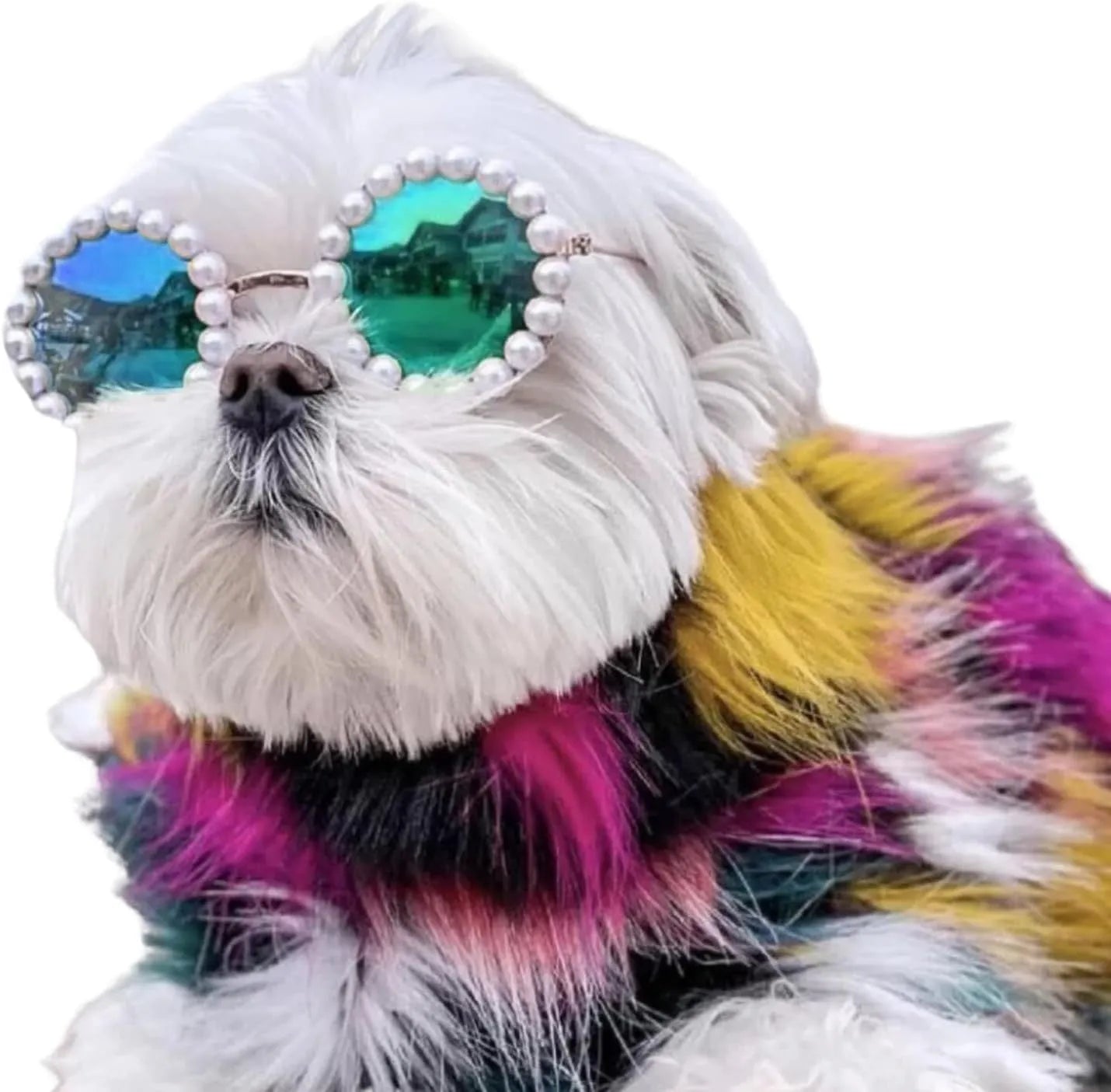 Pearl-rimmed round sunglasses for cats and dogs in multiple colours on a festive background.