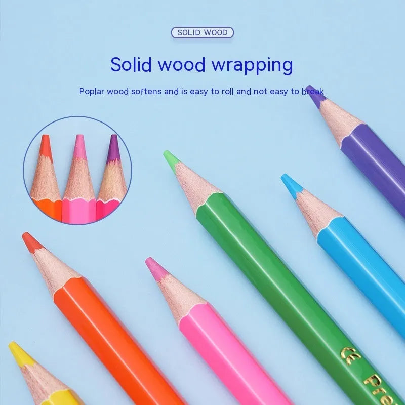 Set of 12 wooden double-tipped colour pencils showing 24 different colour leads for art and drawing