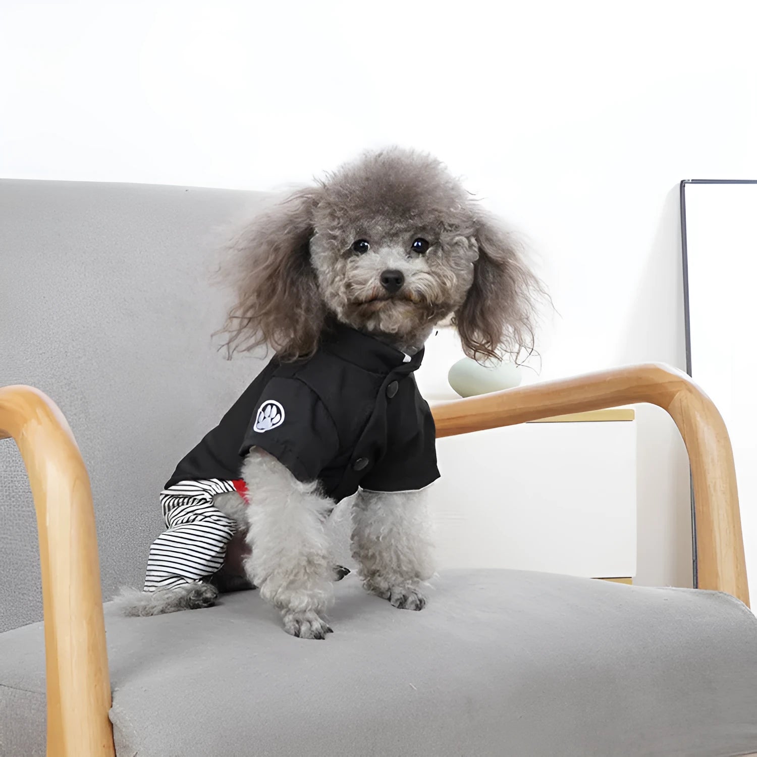 Cotton poodle dog clothes in skirt and four-foot pants styles for spring and summer wear