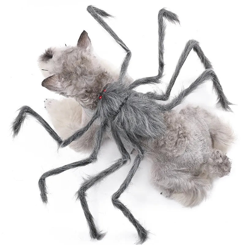 Grey spider Halloween costume for medium-sized dog with full-body coverage
