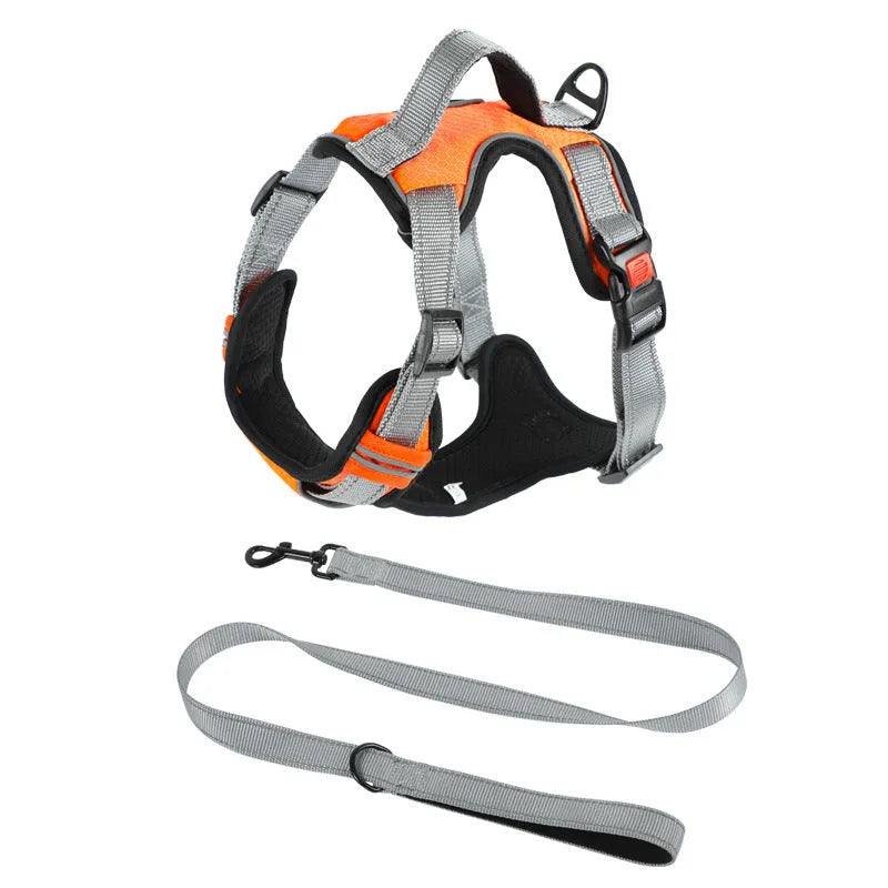 Orange polyester dog harness chest strap with hand holding rope, shown on a medium-sized dog.