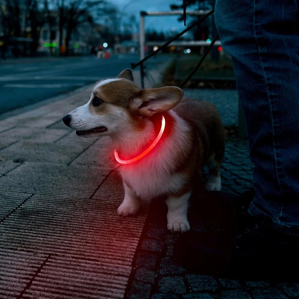 USB rechargeable LED dog safety collar showing blue illuminated band with adjustable 70cm length