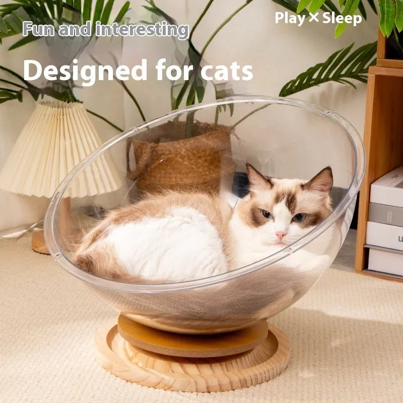 Transparent acrylic cat space capsule bed on a wooden base, showing its bathtub-style design.