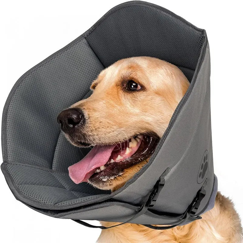 Adjustable polyester pet sterilization collar ring shown in a casual style, available in single or double layer.