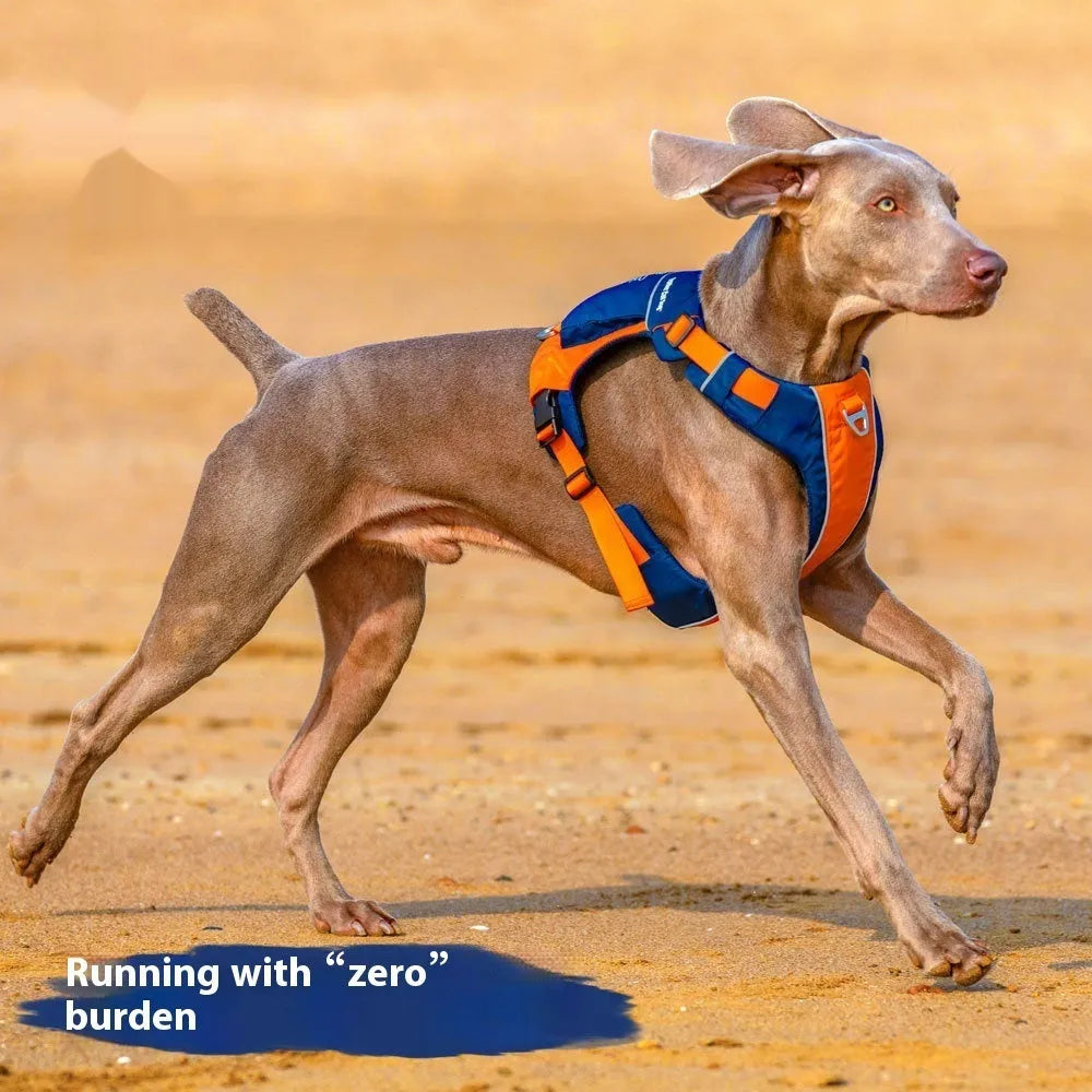 Orange blue nylon dog chest strap vest with hand rope in adjustable vest-style design