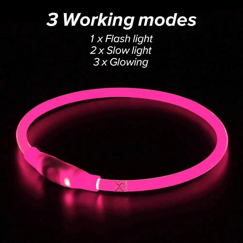USB rechargeable LED dog safety collar showing blue illuminated band with adjustable 70cm length