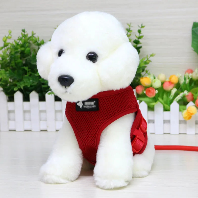 Small dog leash with foam handle in multiple colour options