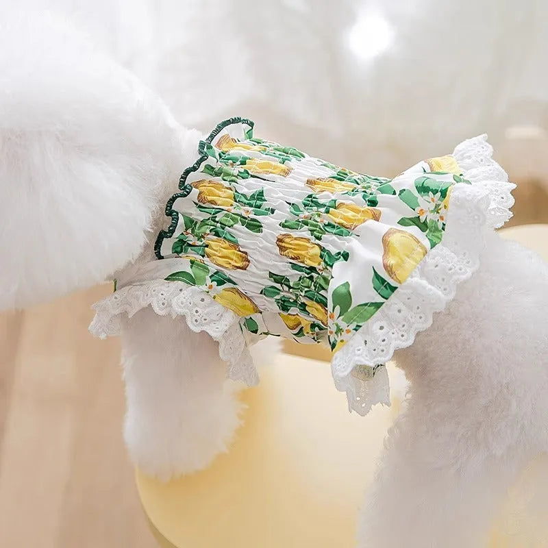 Rock yellow lemon dog skirt dress with thin breathable polyester construction and adjustable straps