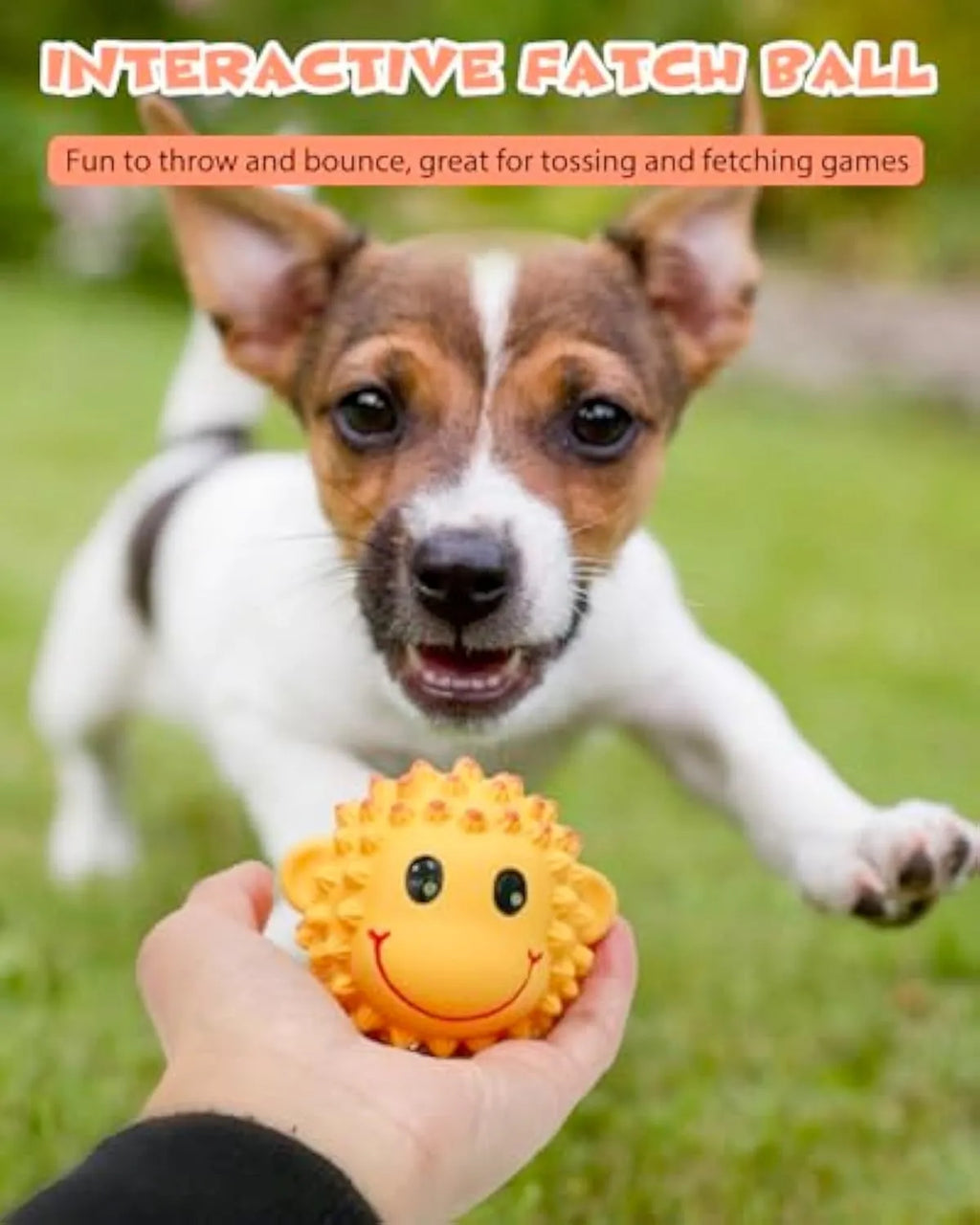 Orange and yellow spiky latex squeaky dog toys showing animal designs and textured surface