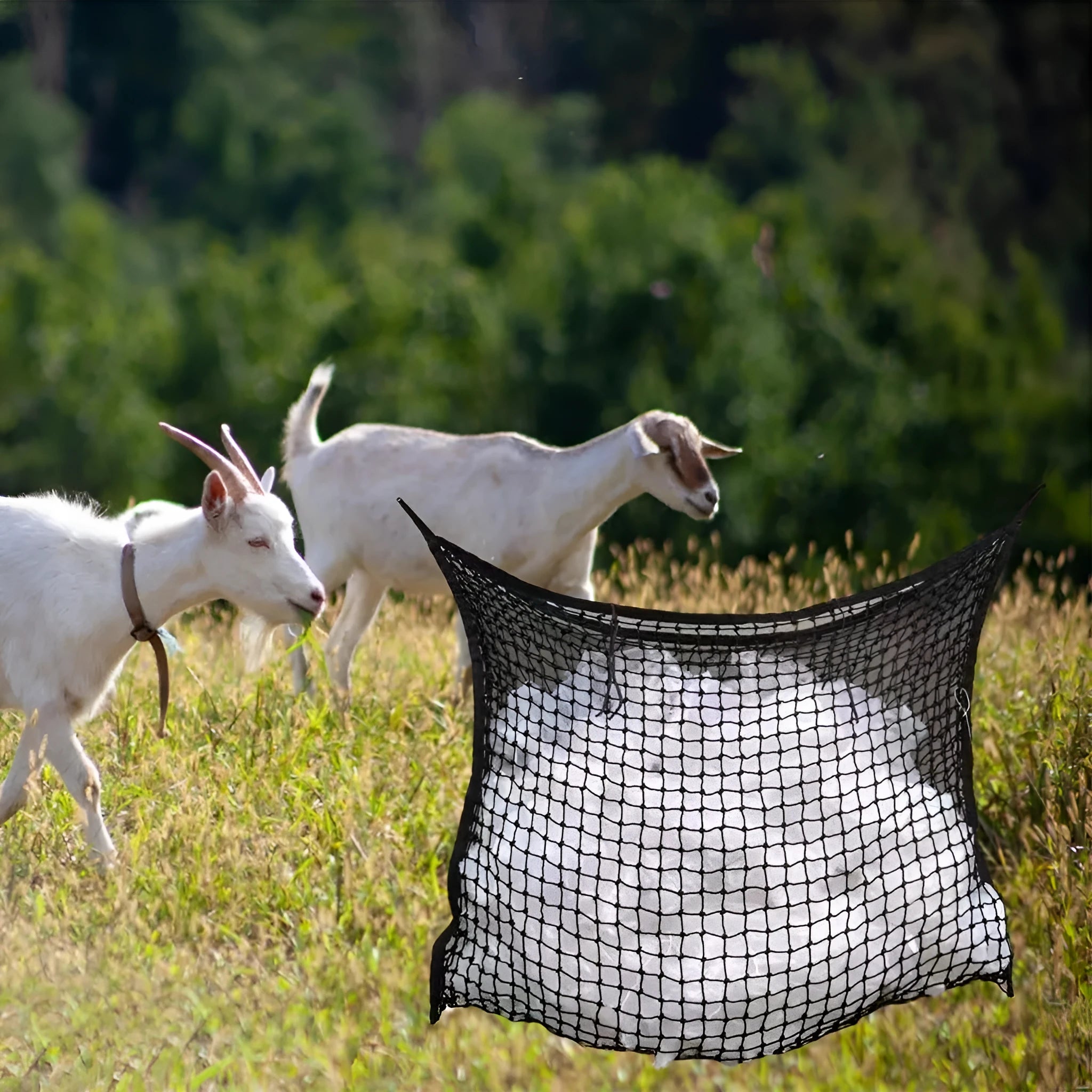 Black woven PE rope horse feeding bag with grid design hanging in stable