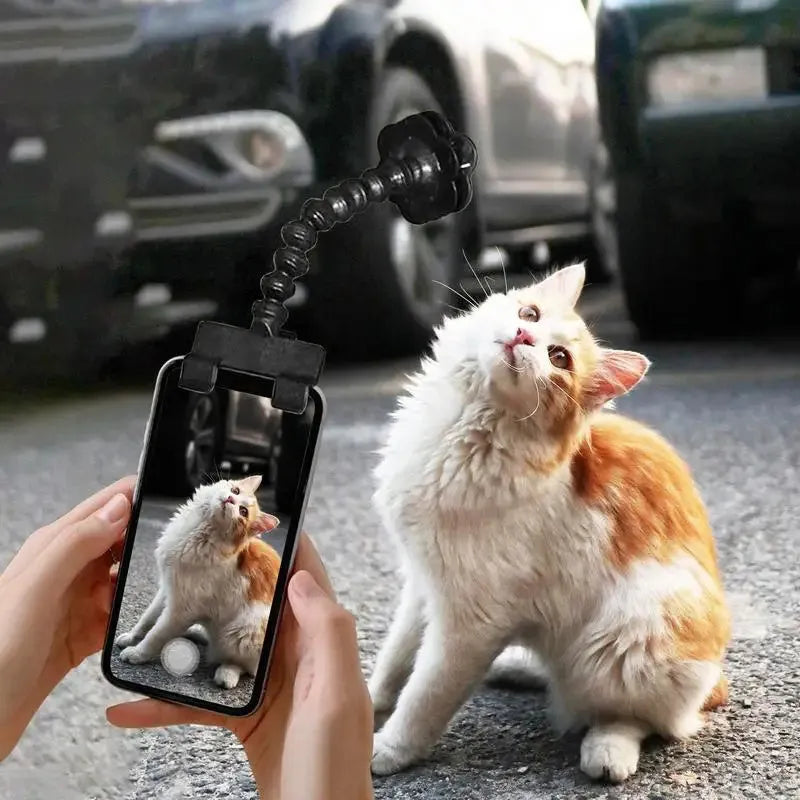 Black plastic pet photography tool with treat clip and phone holder, shown rotated to adjust angle.