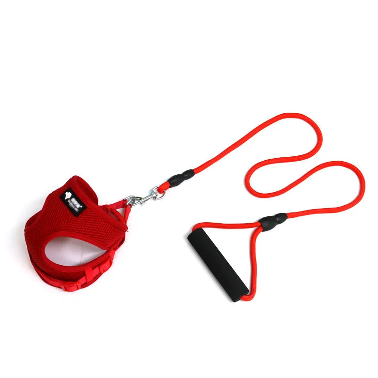 Small dog leash with foam handle in multiple colour options