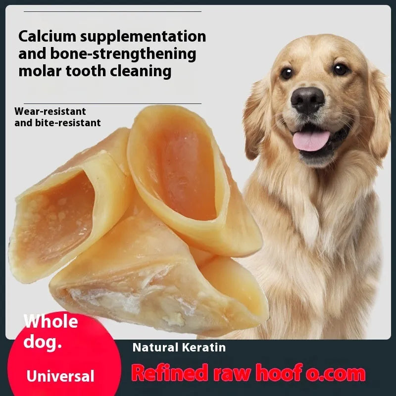 Cowhide dog chew snack in hoof shell colour, a grinding rod for small and large breeds.