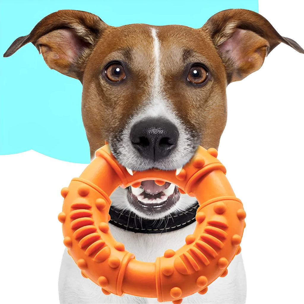 Blue bouncy hollow dog fetching stick toy for large dogs on a green lawn