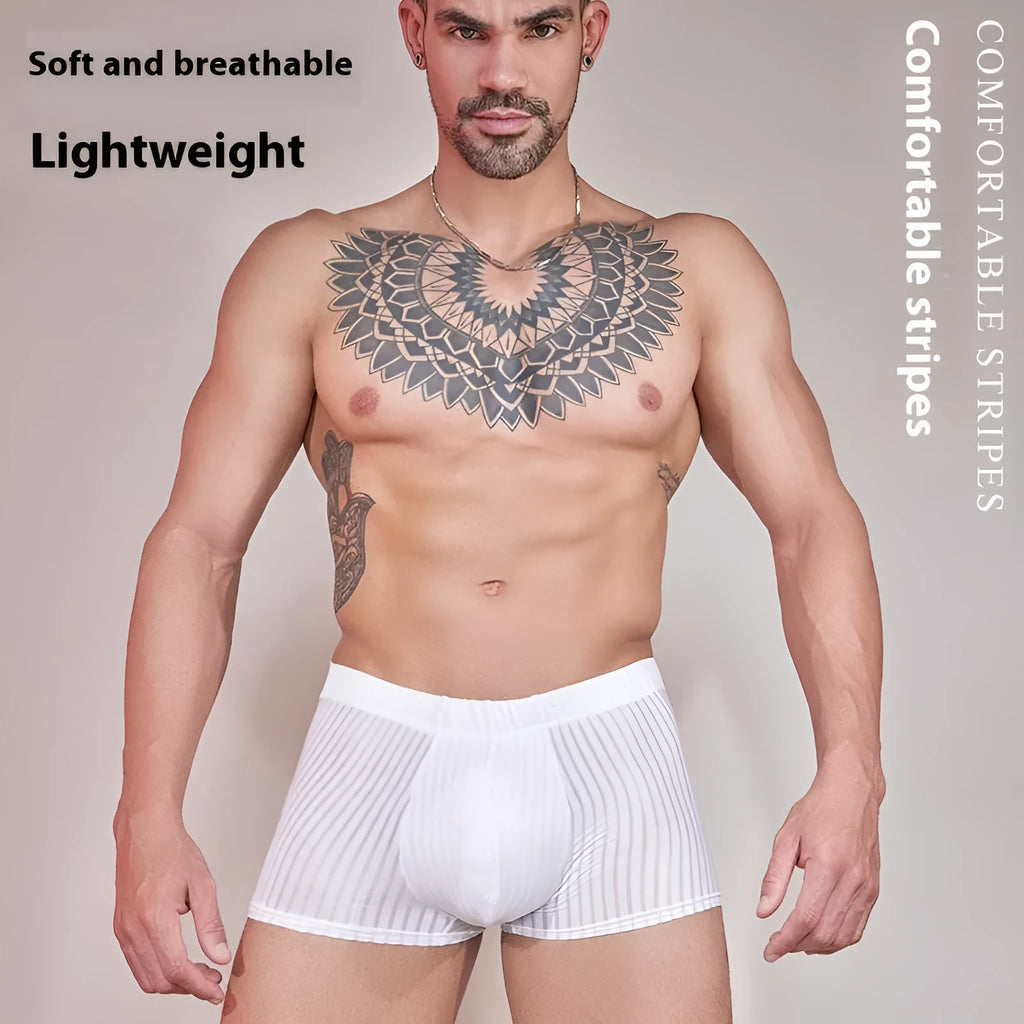 Men's striped underwear in thin transparent nylon fabric showing black, white and dark grey colour options