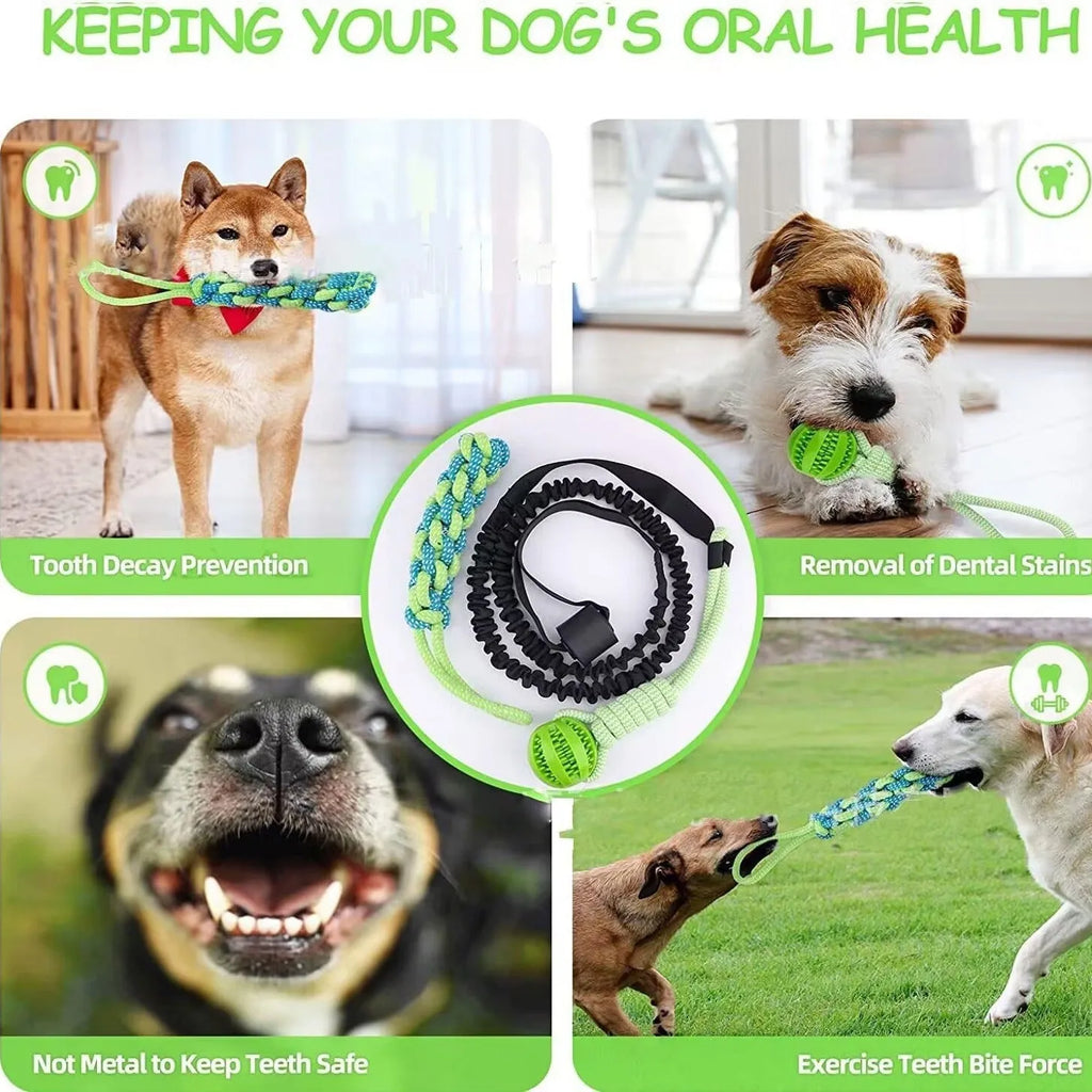 Green cotton thread dog tug rope toy with corncob and teether ball attachments for interactive play