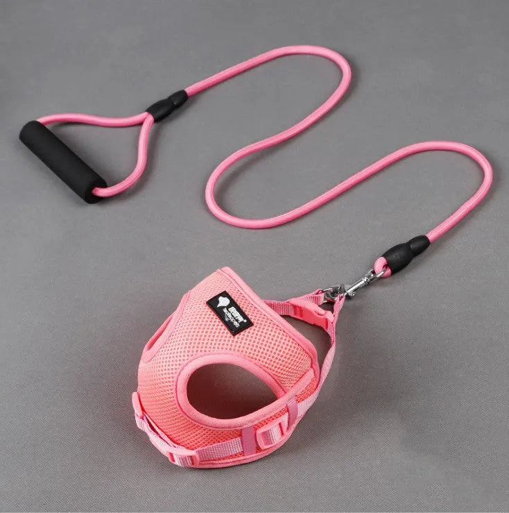 Small dog leash with foam handle in multiple colour options