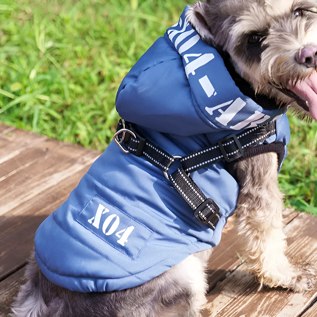 Winter fleece-lined waterproof dog jacket with hood in black blue gray or red colours