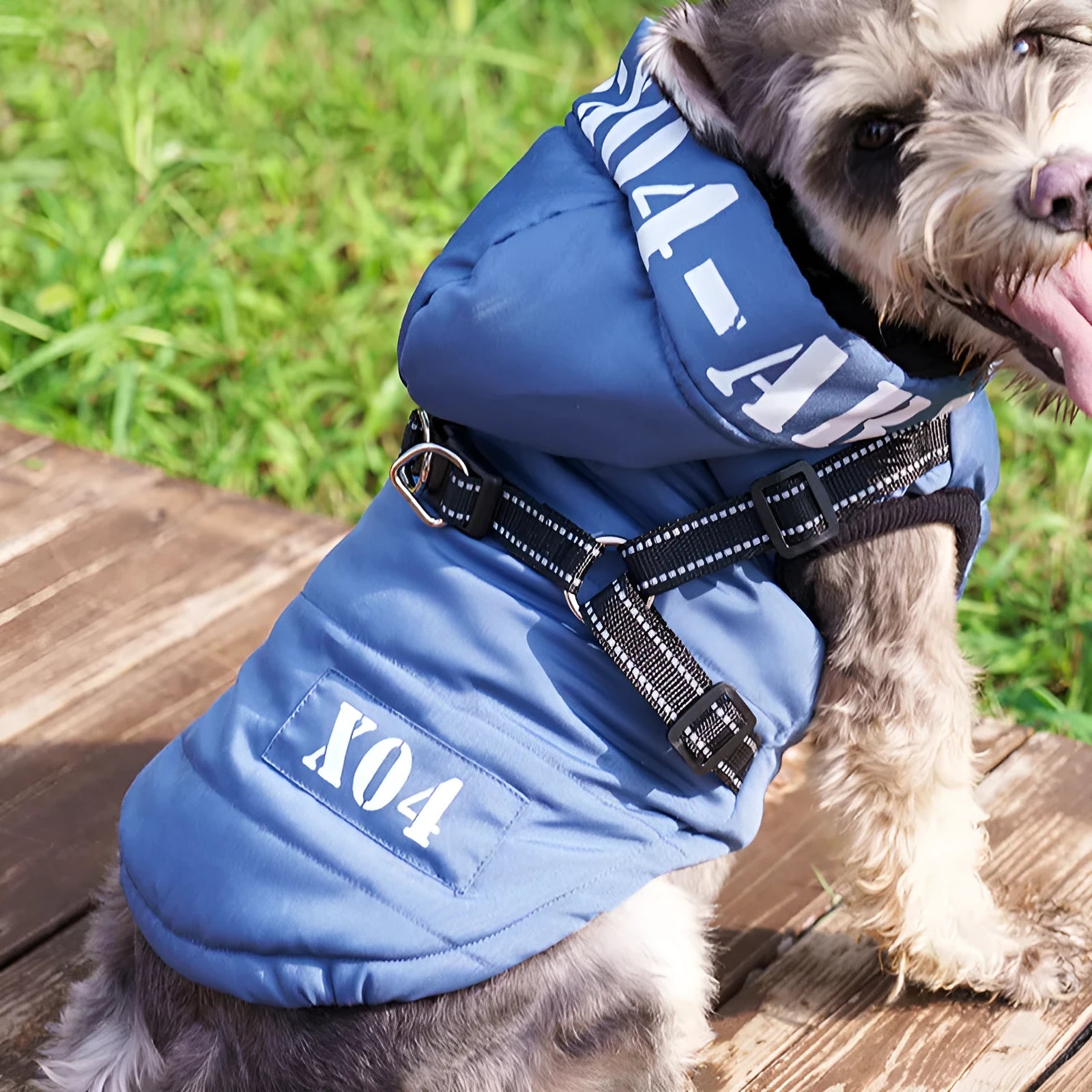 Winter fleece-lined waterproof dog jacket with hood in black blue gray or red colours