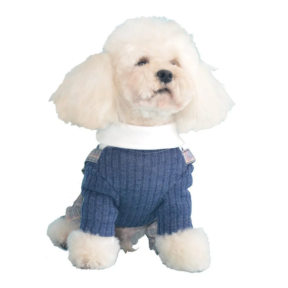 Orange and dark blue cotton dog suit shirts shown in sizes S through 2XL for small dogs
