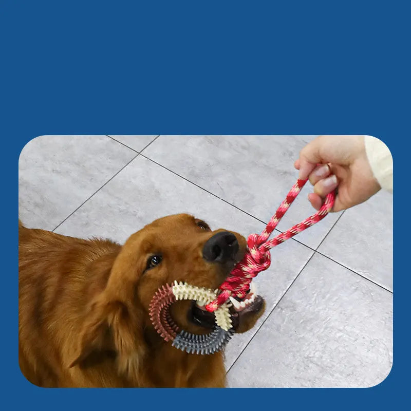 Braided cotton rope dog toy with knotted ends in assorted colours, measuring 43 cm long.
