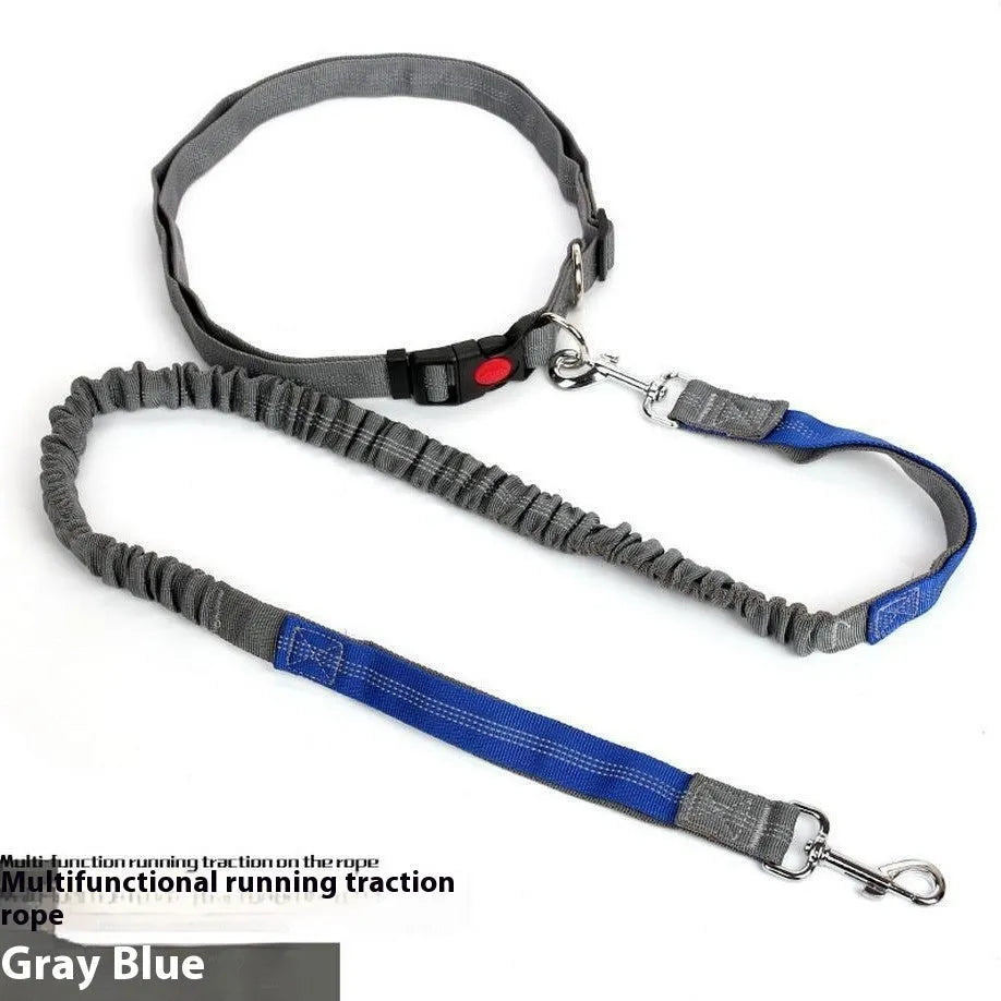 Grey and green reflective elastic dog leash showing 2.5cm width and nylon construction