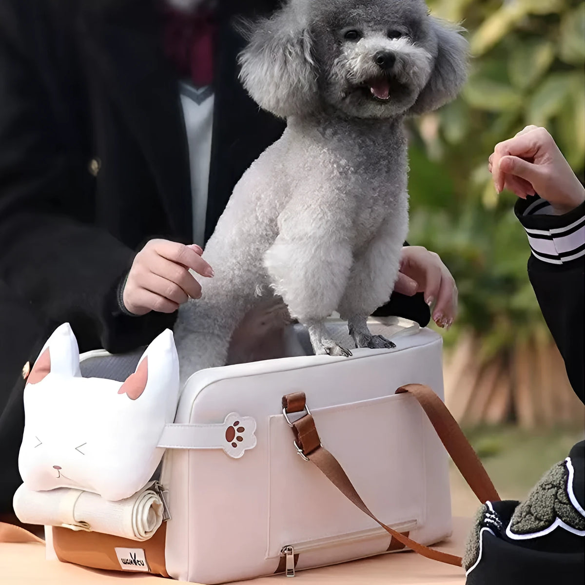 Beige hard-sided pet travel crate with a one-shoulder carry strap, shown with dimensions 43cm by 25cm by 22.5cm.