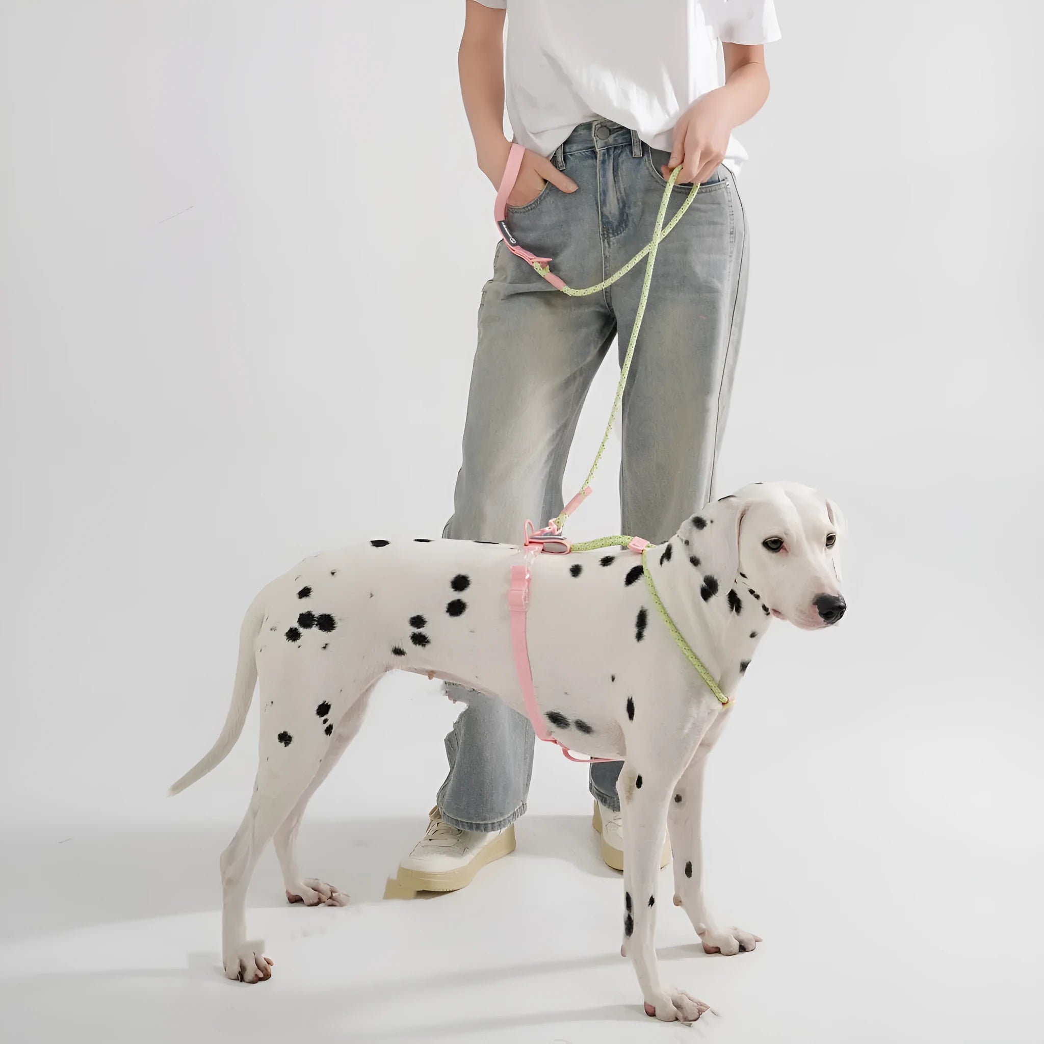 Solid colour PVC dog leash with hand-holding rope function showing 120cm length